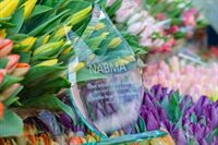 Columbia Road Flower Market blossoms at the 2025 Great British Market Awards