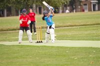 Wins for Tower Hamlets Lions, Tigers, Hawks and Titans in inaugural Mayor's Cricket Cup competition