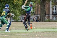 Another winning innings for the Mayor's Cricket Cup, as trophies are awarded in six categories