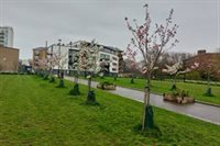 Tower Hamlets named 'Tree City of the World' for the fourth time