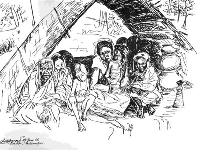24 July Bengal Shadows resized