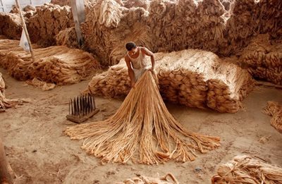 9 August Jute Lascar Story resized