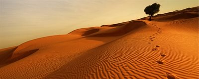 5 Nov FRINGE Bhuchar Boulevard resized