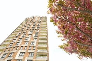 Estate next to a tree