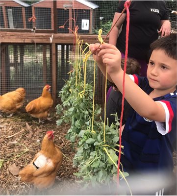 Farm tours