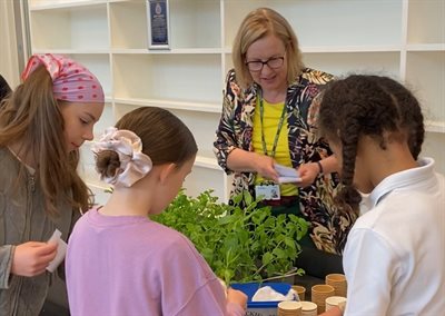 healthy lives celebration event