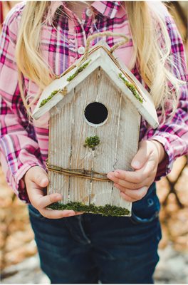 Bird box shutterstock_470760965