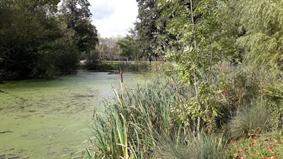 East lake