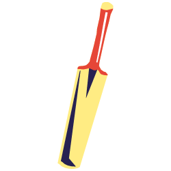An image of a cricket bat