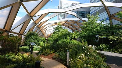urban greening