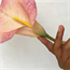 Flower Making Workshop