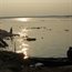 Rivers of Bengal and East London by Peter Musgrave and friends