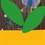 Family nature club: Eco-Crafts
