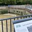 Invisible East India Dock Walk by Dr Georgie Wemyss