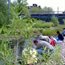 Pond dipping