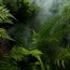 Walking through the jungle