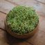 Grow your own watercress