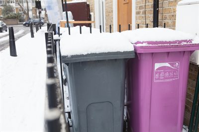 Snow on Domestic bins-3
