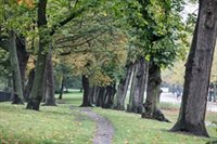 Have your say on fines being introduced in our parks