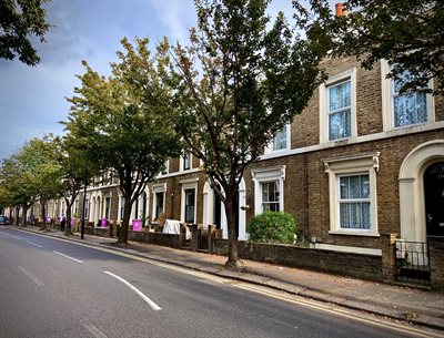 Trees along street in Tower Hamlets