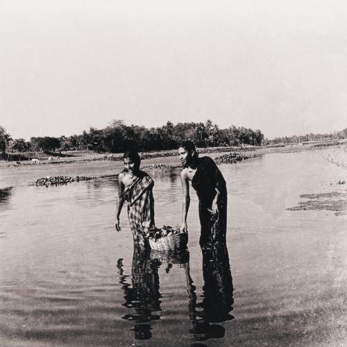 During the Liberation War, women freedom fighters would smuggle grenades in baskets covered with water hyacinth. Bangladesh. 1971. Credits: Mohammad Shafi/Drik/Majority World