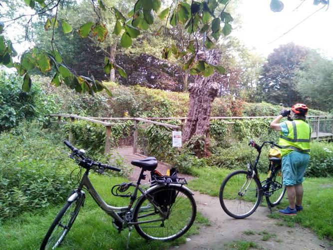 Picture of someone standing with their bikes observing some green spaces