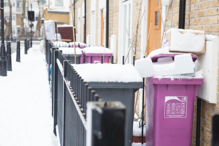 SnowOnDomesticBins