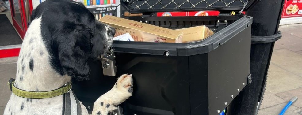 Hero hound sniffs out illegal goods