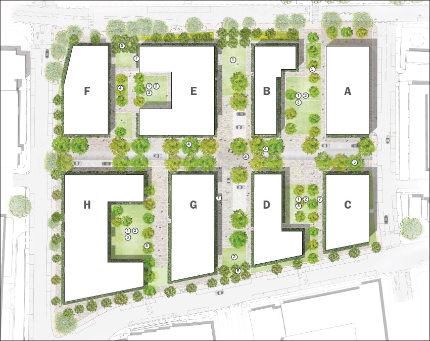A plan showing how the Clichy Estate could be laid out as part of a regeneration scheme - this plan prioritises greenery and trees