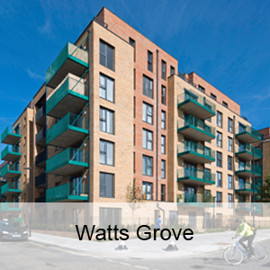 Watts Grove CGI
