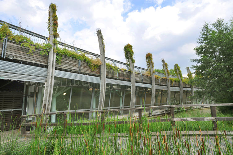 Outside the ecology pavilion