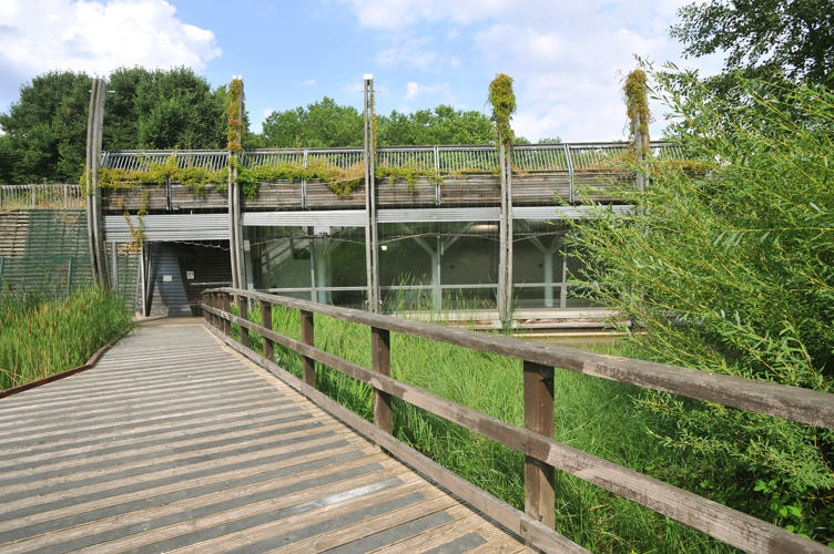 Pathway to the pavilion