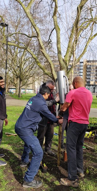 tree planting meath gardens