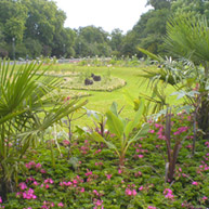 Victoria Park planting beds