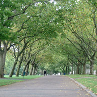 Victoria Park