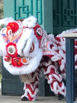 Chinese New Year costume