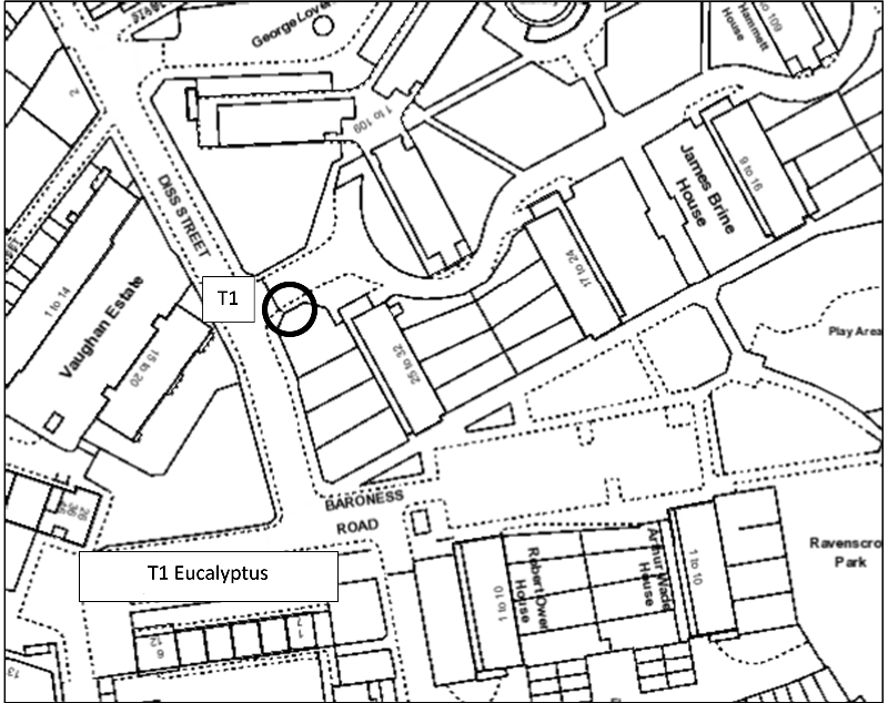 Map Showing Tree Preservation Order 2020/1 at 29 James Brine House, Ravenscroft Street, London E2 7QQ