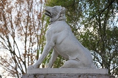 Dogs Of Alcibiades