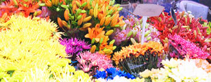 Flowers, columbia road flower market