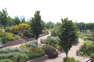 park park