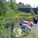 Pond dipping