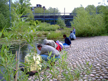 Pond dipping